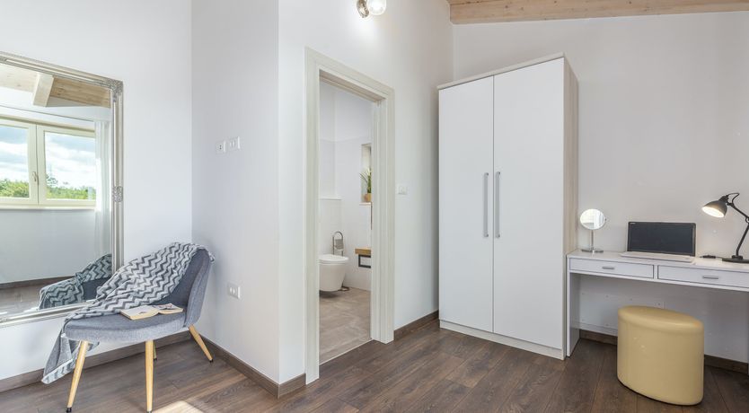 Photo of Sunflowers in Spring