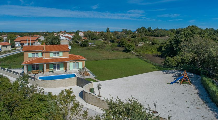 Photo of Sunflowers in Spring
