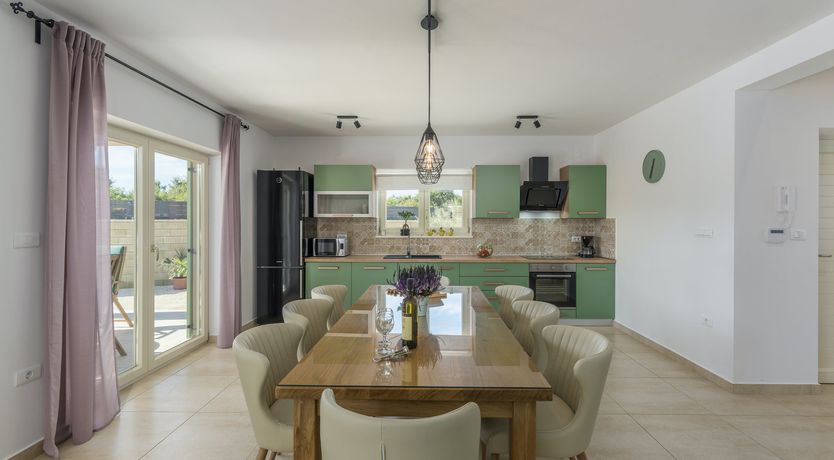 Photo of Sunflowers in Spring