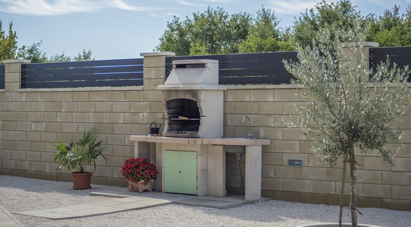 Photo of Sunflowers in Spring