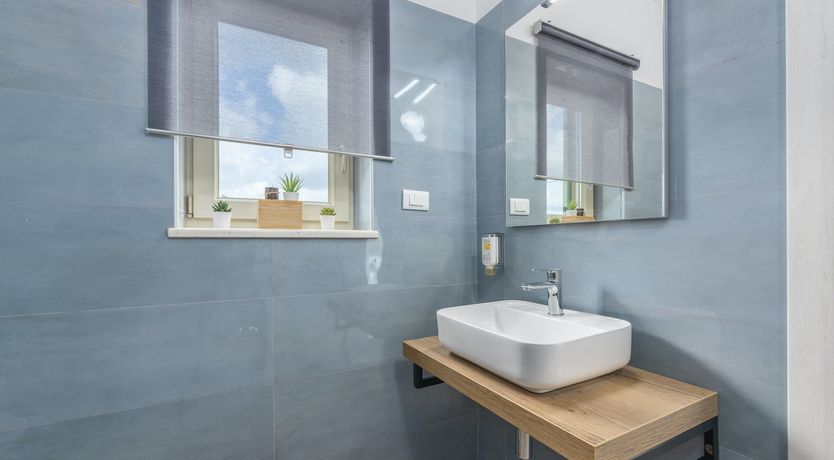 Photo of Sunflowers in Spring