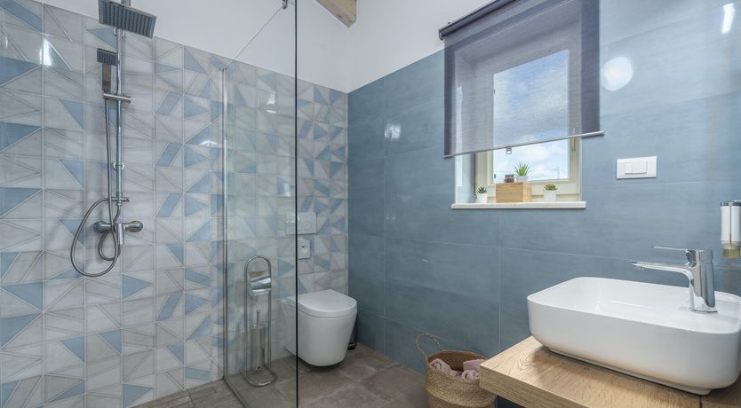 Photo of Sunflowers in Spring