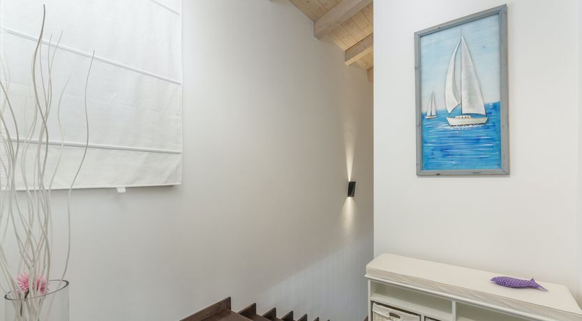 Photo of Sunflowers in Spring