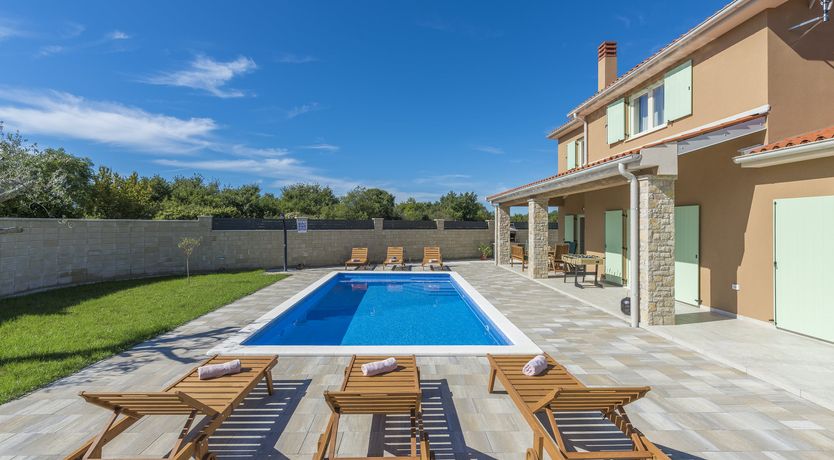 Photo of Sunflowers in Spring