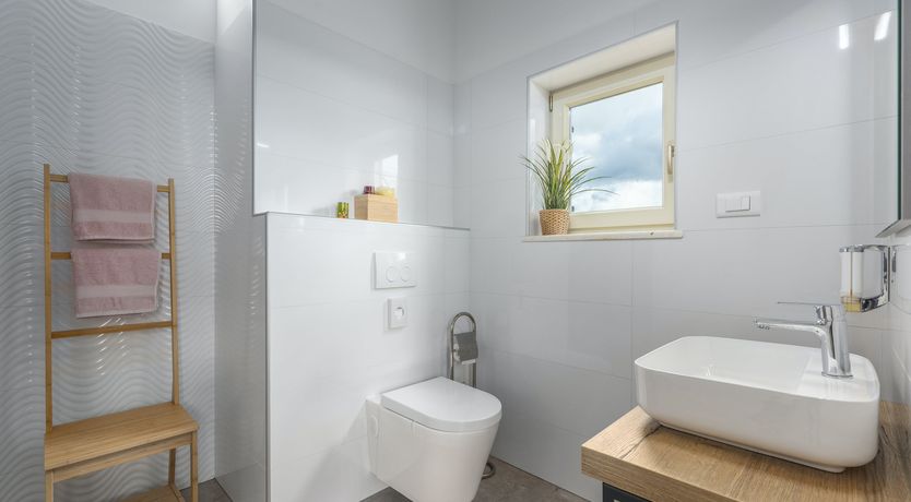 Photo of Sunflowers in Spring