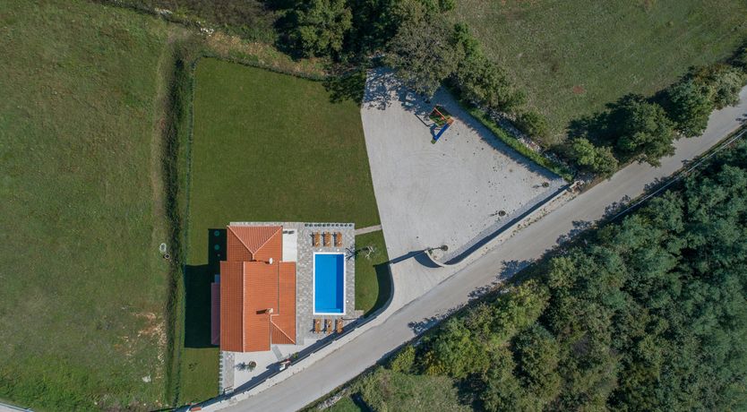 Photo of Sunflowers in Spring