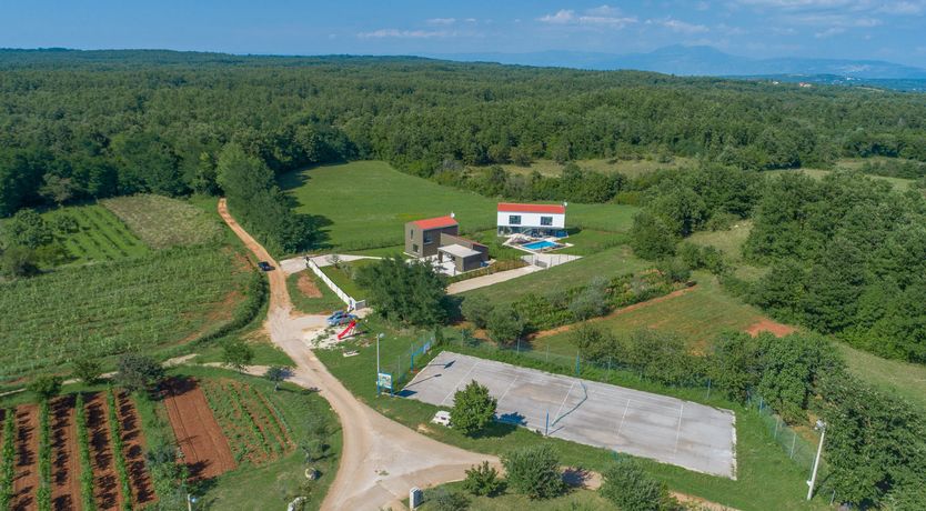 Photo of Palms & Peaches