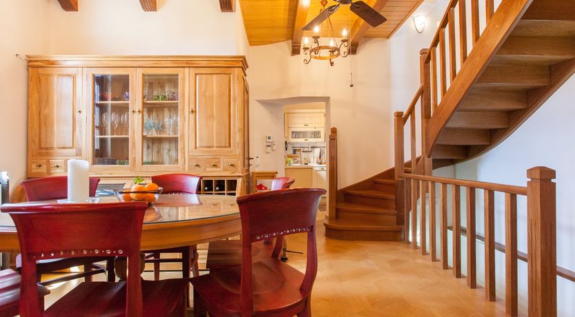 Photo of Venetian Owl