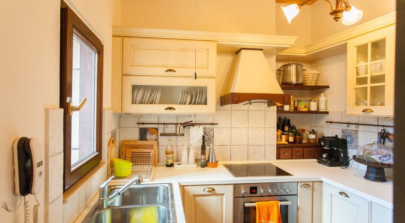 Photo of Venetian Owl