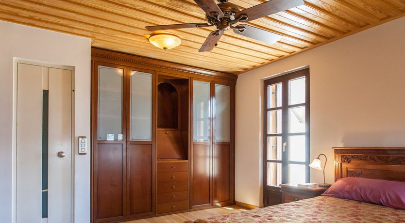 Photo of Venetian Owl