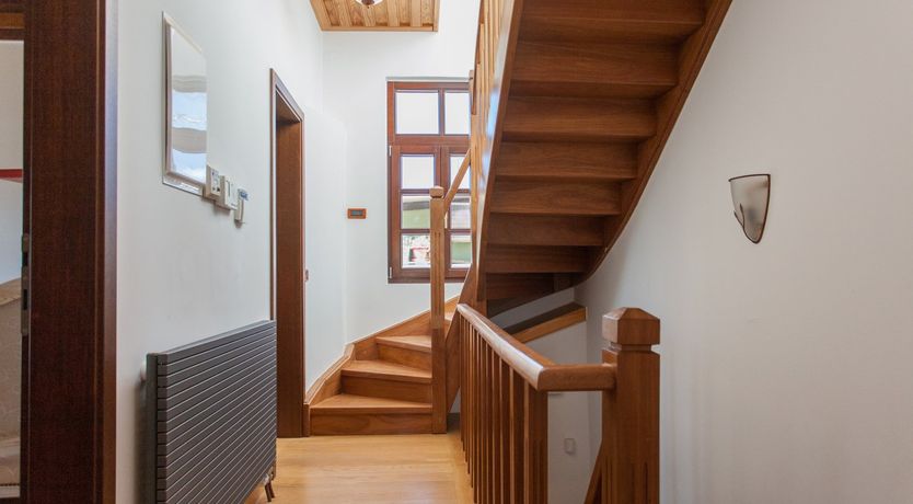 Photo of Venetian Owl