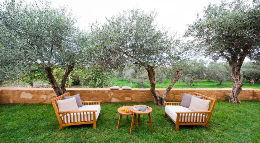 Photo of Psilolia Olive