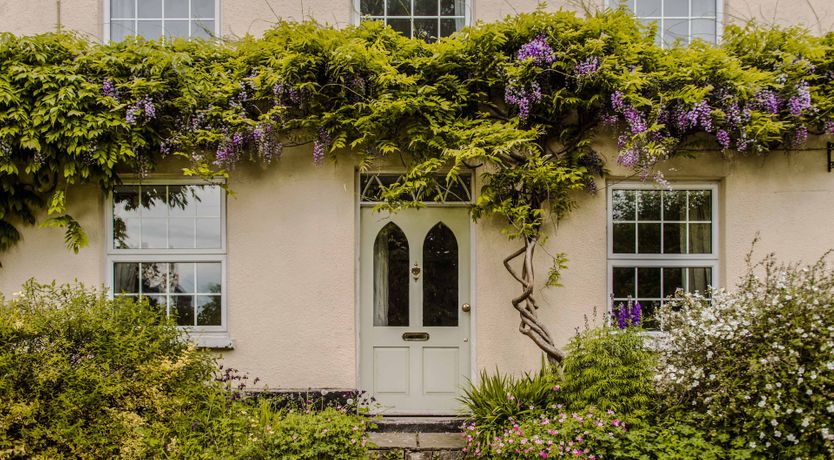 Photo of Tea, Flowers & Trees