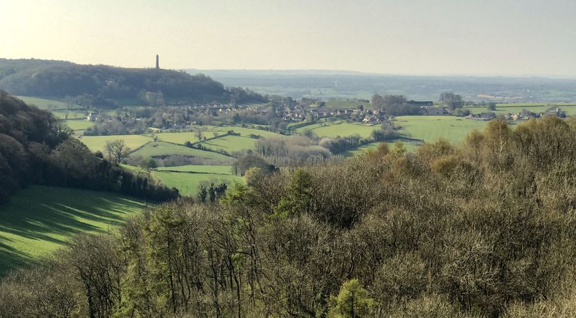 Photo of Tea, Flowers & Trees