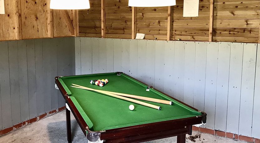 Photo of Tea, Flowers & Trees