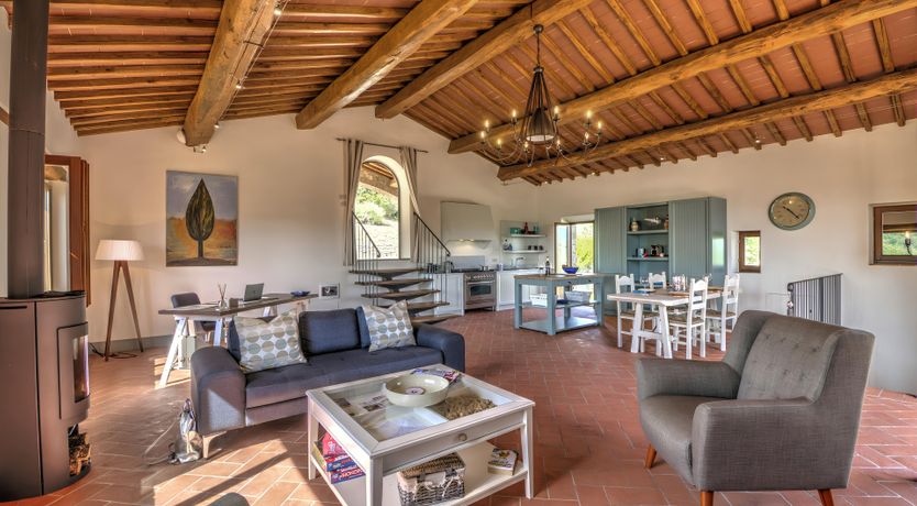 Photo of The Olive Vine