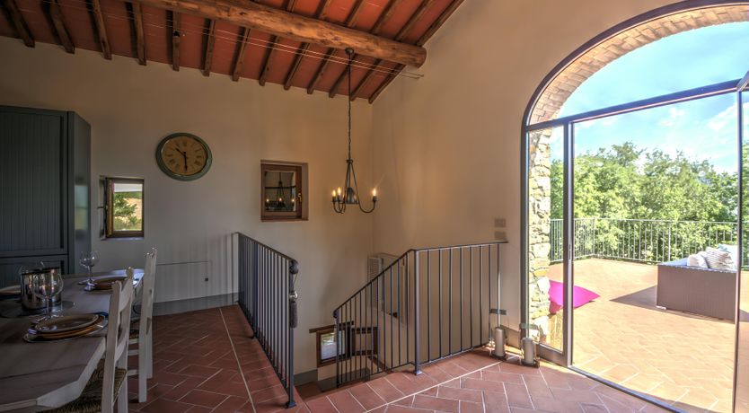 Photo of The Olive Vine