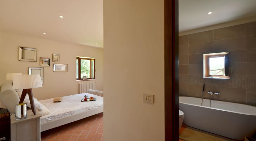 Photo of The Olive Vine