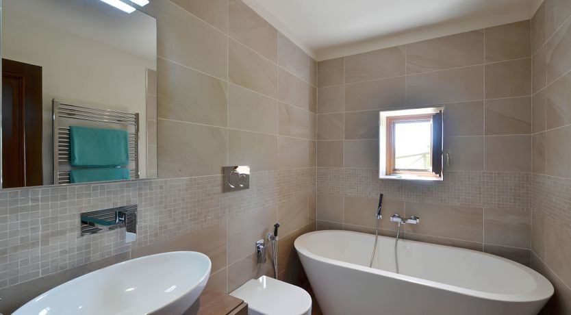 Photo of The Olive Vine