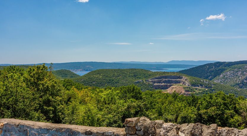 Photo of The Meadow's Serenity