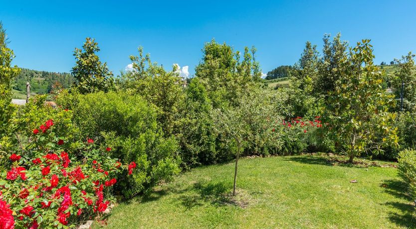 Photo of Beautiful Country