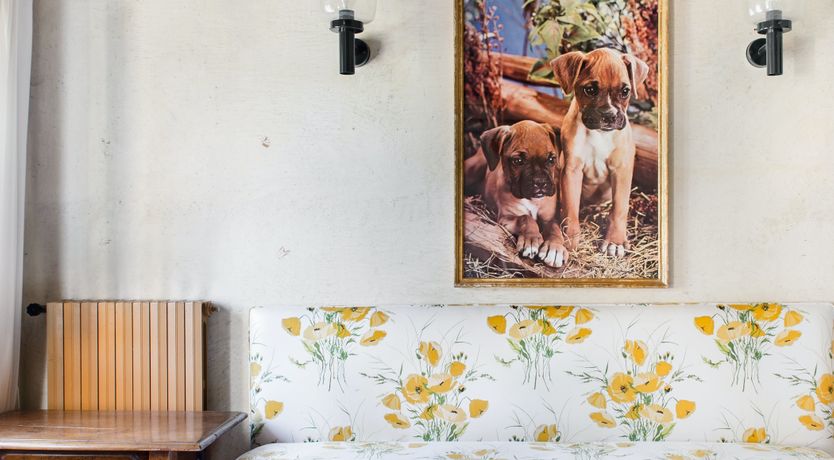 Photo of Casa di Vini