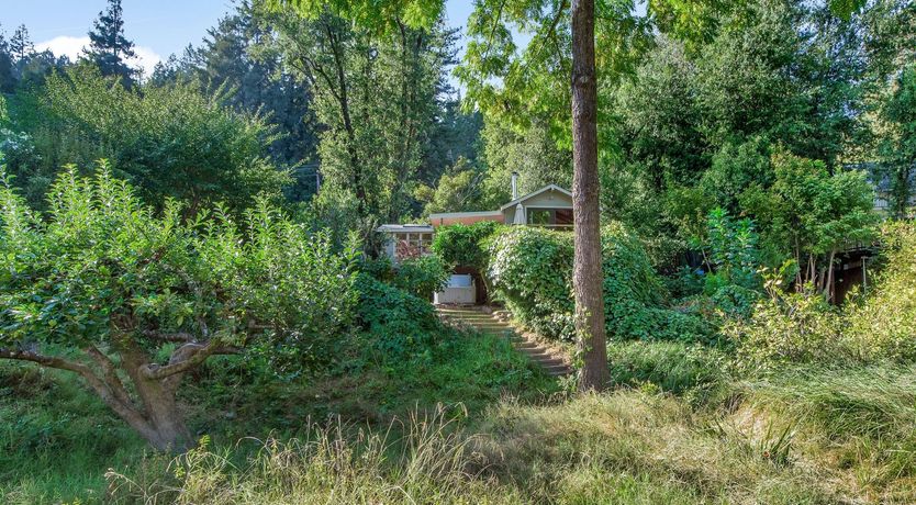 Photo of The White Cloud