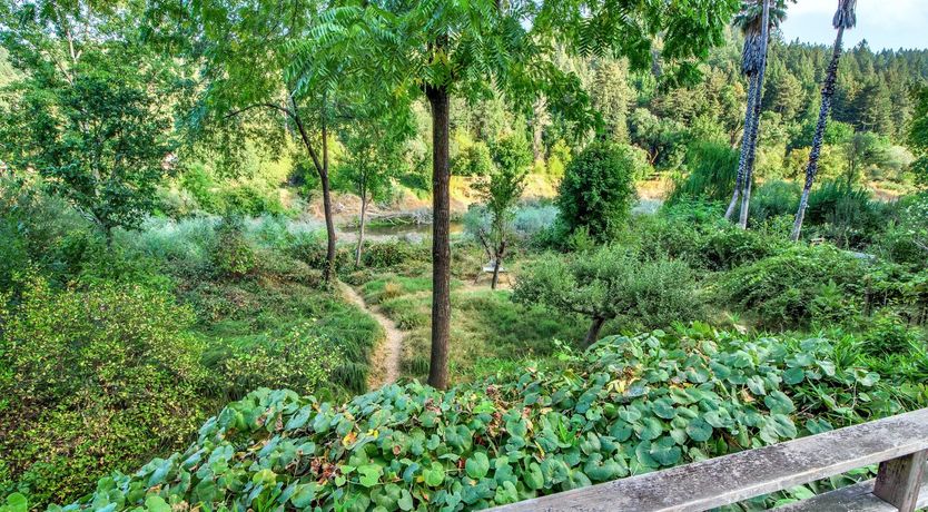 Photo of The White Cloud