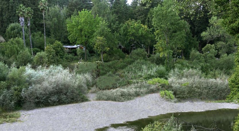 Photo of The White Cloud