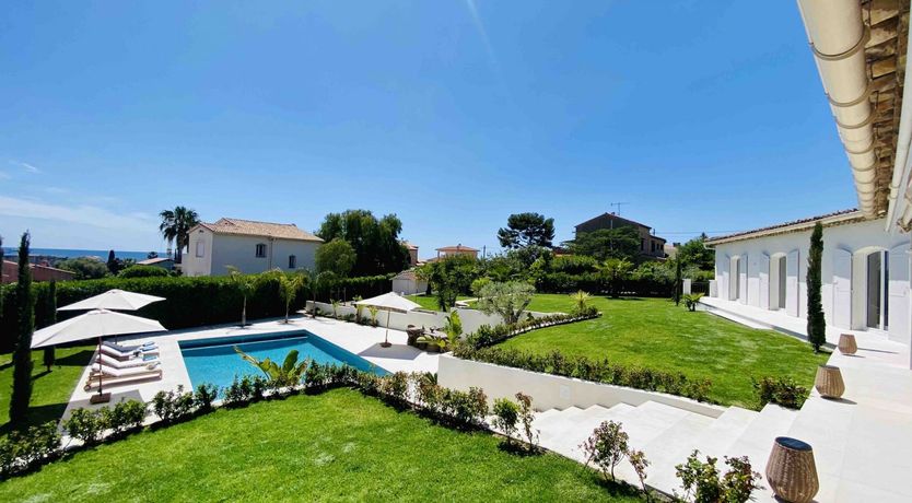 Photo of Summer's Gaze