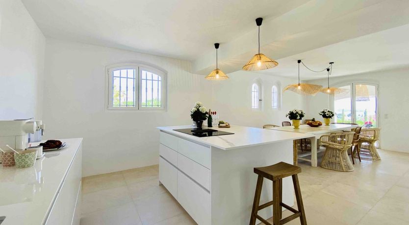 Photo of Summer's Gaze