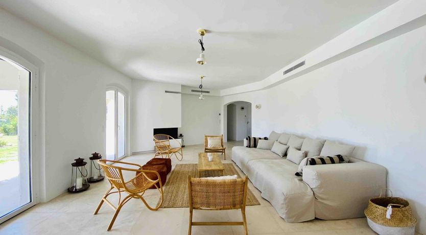 Photo of Summer's Gaze