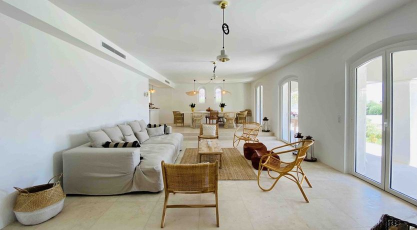 Photo of Summer's Gaze