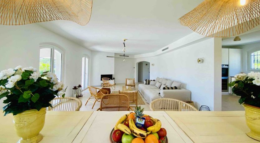 Photo of Summer's Gaze