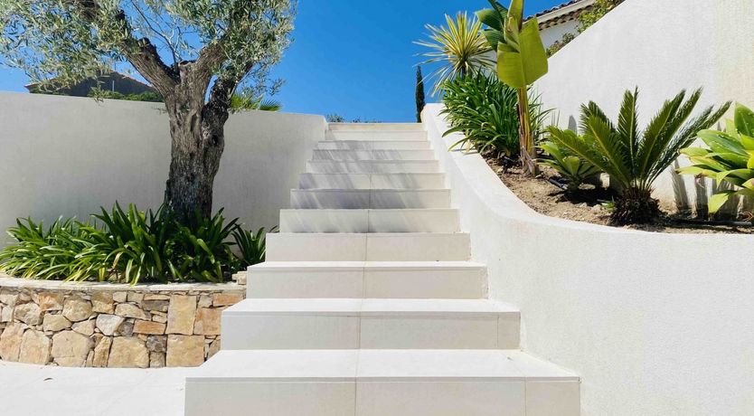 Photo of Summer's Gaze