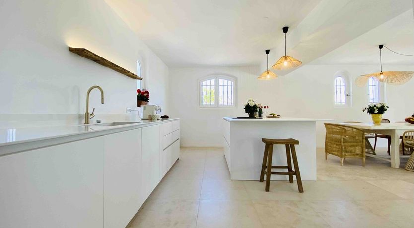 Photo of Summer's Gaze