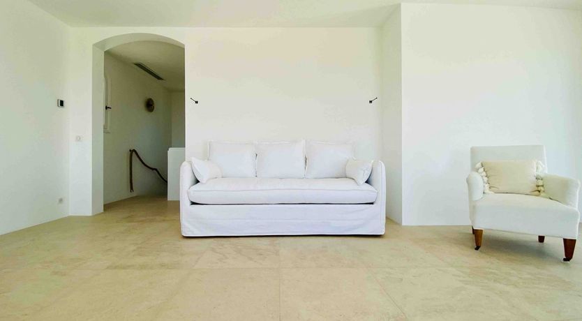 Photo of Summer's Gaze