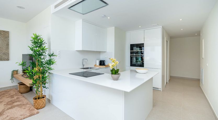 Photo of The Magic Flame