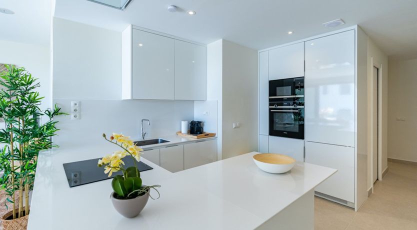 Photo of The Magic Flame