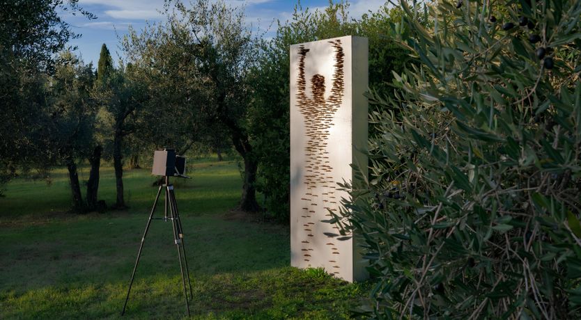 Photo of Nature's Abundance