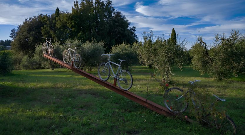 Photo of Nature's Abundance