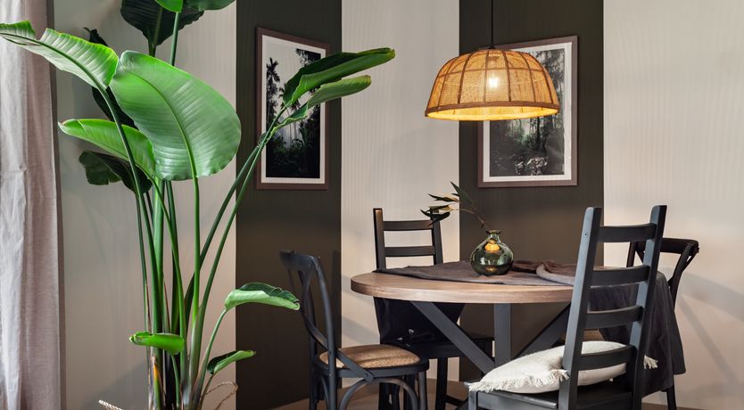 Photo of Jungle Canopy