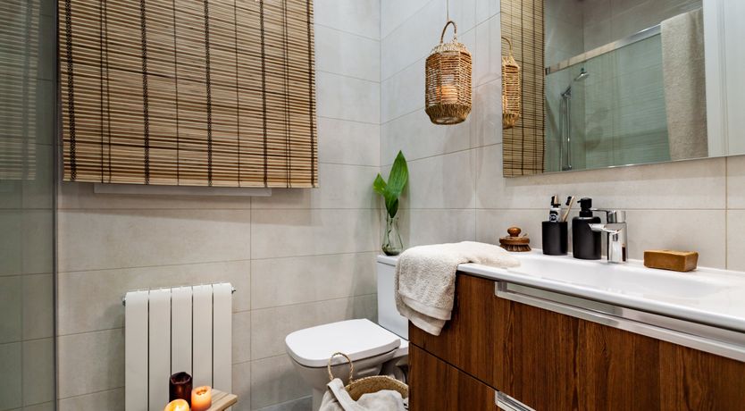 Photo of Jungle Canopy