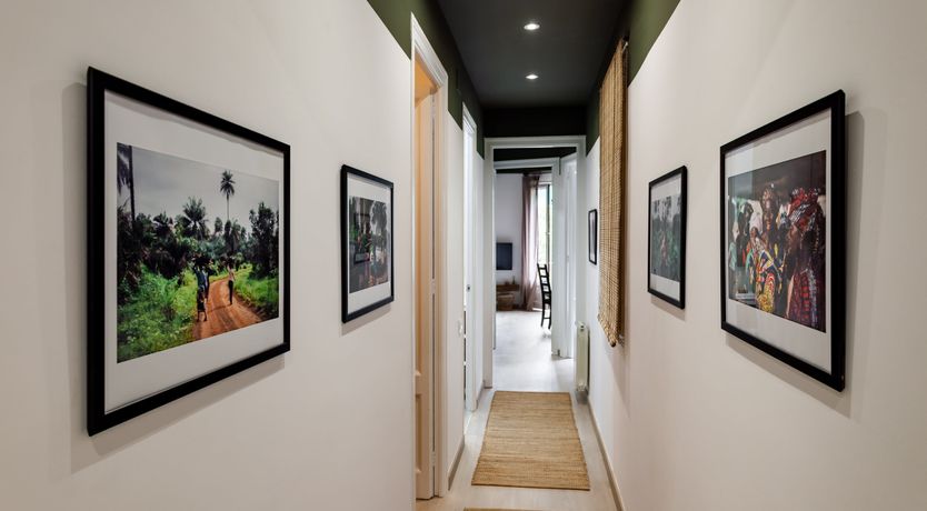 Photo of Jungle Canopy