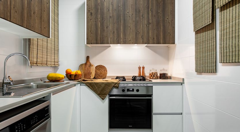 Photo of Jungle Canopy