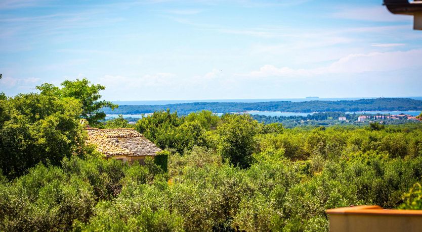 Photo of Academy Blue