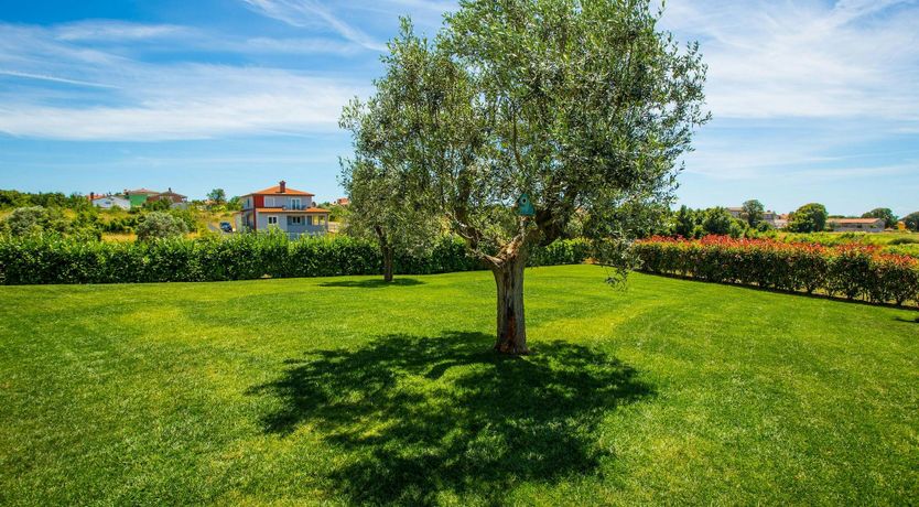 Photo of Academy Blue