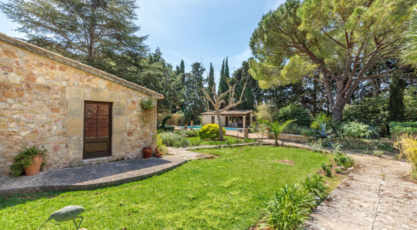 Photo of And the Seasons Go