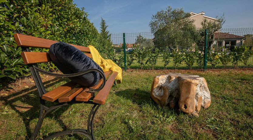 Photo of A Painted Page