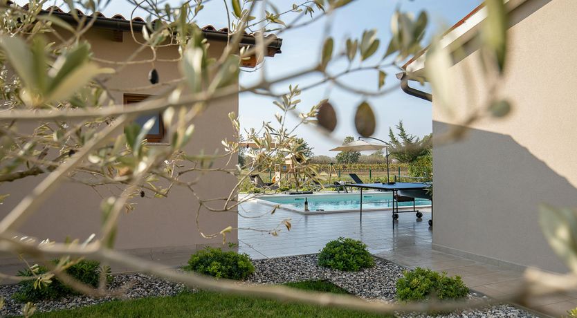 Photo of A Painted Page